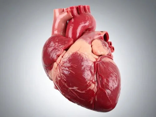 Cardiomiopatia Hipertrófica: Risco Oculto em Atletas