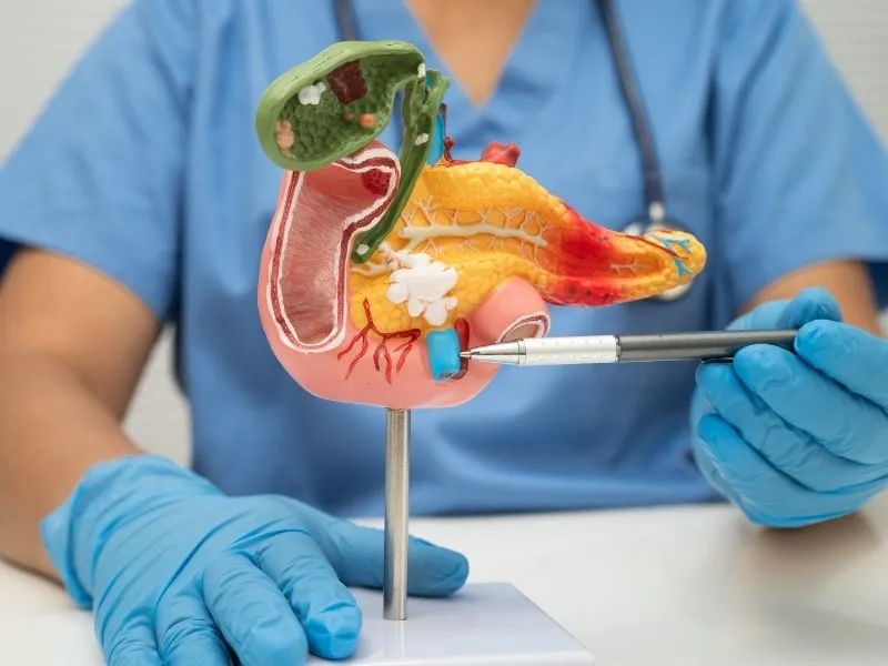 Resistência à Insulina: a raiz do diabetes e aterosclerose